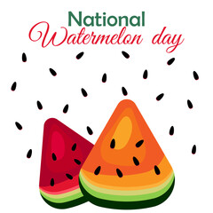 national watermelon day. watermelon holiday. world watermelon day. juicy, delicious yellow and red watermelon with seeds on a white background