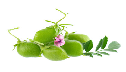 Green chickpeas in the pod with green leaves and flowers, isolated on white background. Cicer arietinum. Clipping path.
