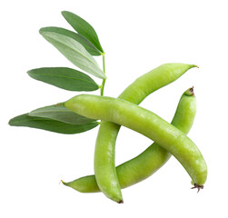 Fresh broad beans in pods with green leaf, isolated on white background. Fava beans. Top view.