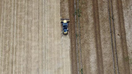 Harvesting a wheat field during a very dry summer season - aerial view