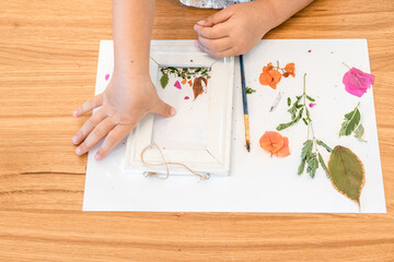 Child hands and a herbarium of flowers on a sheet of paper.