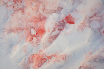 Blood on the snow, red paint on the snow.