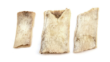 Bones for a dog on a white background.