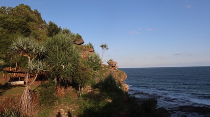 person walking on the beach