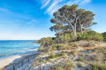 Photo sur Plexiglas Plage de Palombaggia, Corse Fabulous view of  Palombaggia and Tamaricciu beaches.