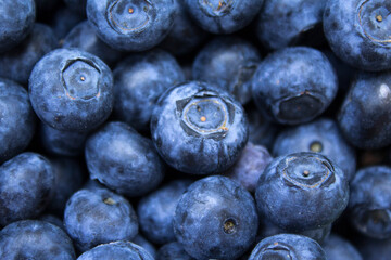 a lot of blueberries
