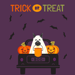 Halloween Trick or Treat cute vector illustration. Truck with Pumpkins Jack-O-lantern, bats, dog in ghost costume, Halloween bucket cartoon. Happy 31 October holiday spooky fun celebration background
