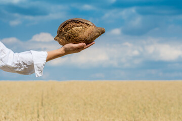 Female hands holding home baked bread loaf over a blue summer sky in a wheat field.