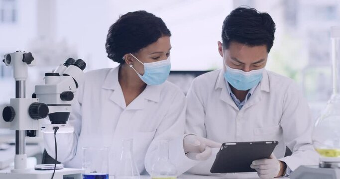 Two medical scientists using a tablet and microscope to check virus samples inside a research facility. Specialists enter data into a system and analyze it for breakthrough, discovery and innovation