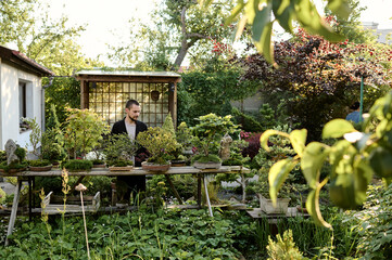 A young man use scissors to decorate the branches of a new bonsai tree in a bonsai garden
