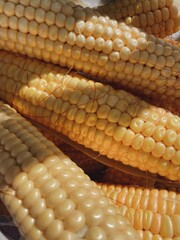 close up of corn