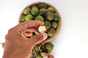 Hand holding Macadamia nuts on white background