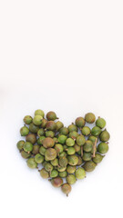 Macadamia nuts on heart shaped isolated on white background