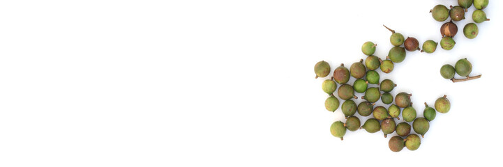 A group of raw macadamia nuts with copy space isolated on white background