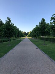 road in the park