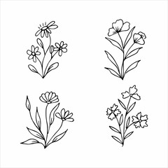 collection of hand drawn botanical floral elements for floral design concept