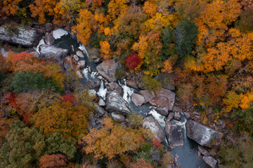 Roaring Paunch Creek Falls - Long Exposure of Waterfalls - Big South Fork National River and Recreation Area - Appalachian Mountain Region - Kentucky - 515489966