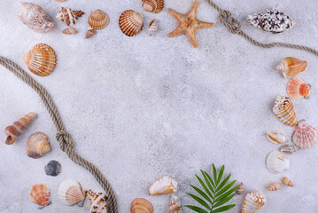 Summer nautical marine background with shell