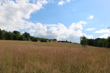 Obraz premium Hiking in the Harz Mountains | Close to the city of Goslar