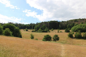 Fototapeta premium Hiking in the Harz Mountains | Close to the city of Goslar