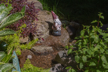 rock garden on a sunny day