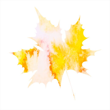 autumn leaf watercolor yellow silhouette, isolated, vector