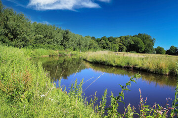 Fototapeta na wymiar Beautiful scenic idyllic typical lower rhine (Niederrhein) green rural landscape, river Niers, forest, blue summer sky - Wachtendonk, Germany
