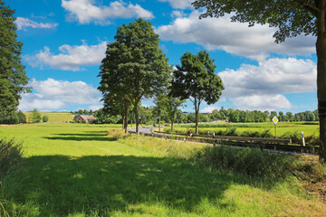 Fototapeta na wymiar Beautiful rural lower rhine (Niederrhein) green landscape, empty country road, blue summer sky fluffy clouds - Hinsbeck, Nettetal, Germany