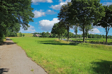 Fototapeta na wymiar Beautiful rural lower rhine (Niederrhein) summer landscape, green forest, agricultural fields, blue sky fluffy clouds, bike cycling path - Hinsbeck, Nettetal, Germany