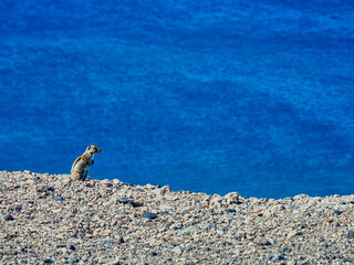 Zonas costeras de Fuerteventura