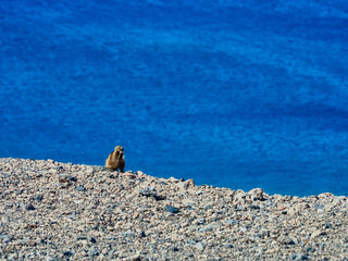 Zonas costeras de Fuerteventura