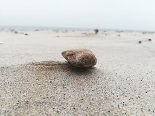 coconut on the beach