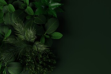 Fototapeta na wymiar Top view of green leaves of various kinds on a dark green background. Nice background concept made of leaves, nature. 3d rendering, 3d illustration.
