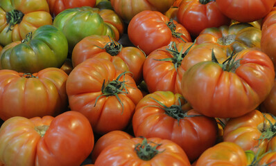 bulk of red and green organic monterosa tomatoes