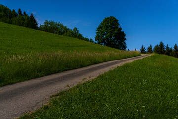 Path to the sky 