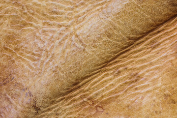 texture of a Light Brown bullskin
