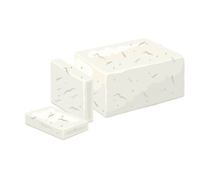 Feta cheese whole piece and slices, vector illustration on a white background