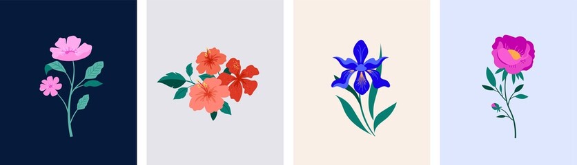 Spring botanical flowers illustrations. Blooming garden flowers. Irises, peony, anemone and hibiscus. Colorful flat illustrations