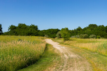 Trail through the park