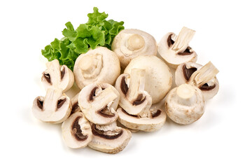 Champignons, close-up, isolated on white background.
