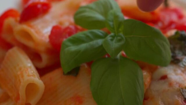Garnishing Paccheri pasta tomato sauce with fresh basil
