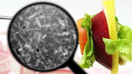 Searching for bacteria in vegetables