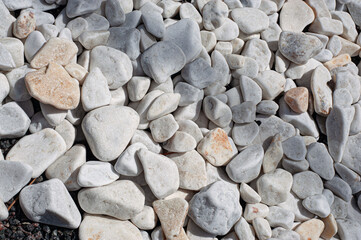 Pebbles, small white stones, the texture of the stone. Flower bed design, garden decor with green plant