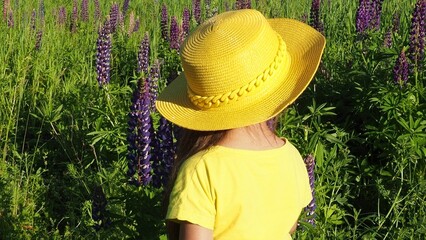 a happy girl walks in a flowering field, picks beautiful purple flowers, smells flowers. in a yellow straw hat. happy girl makes faces, shows her tongue.The child has fun in nature.