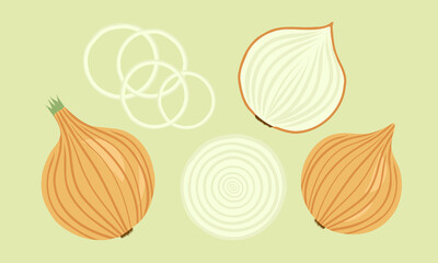 Onion whole, sliced, rings, vector illustrtion hand-drawn style