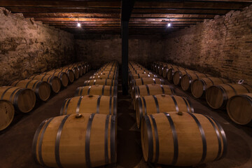 wine barrels lined up in a wine cellar