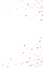 Pink Rose Fly Vector White Background. Fall