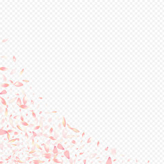 Red Apple Vector Transparent Background. Rosa