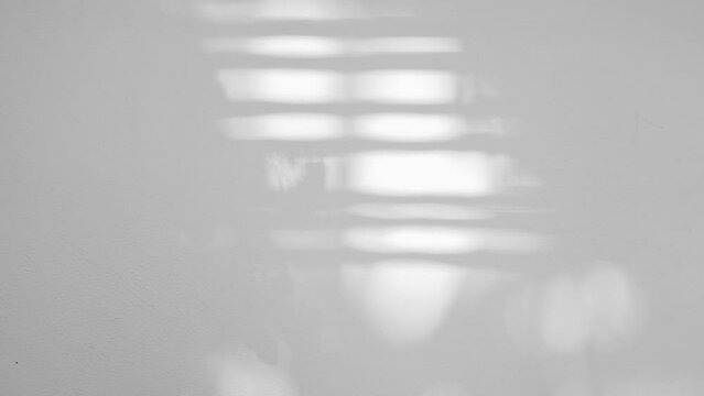 Abstract natural summer seasonal shadows 4k video background. Shadow overlay of tropical leaves and parallel lines reflections on white texture wall background. For overlay or product presentation