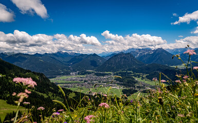 alpine meadow in the mountains